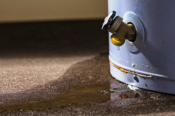 Best Professional water damage repair  in Weidman, MI
