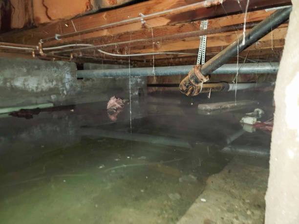 Best Residential water damage restoration  in Weidman, MI
