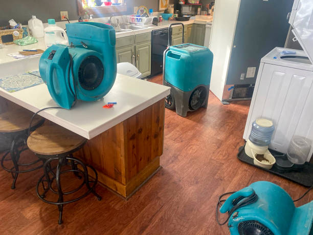 Best Carpet water damage restoration  in Weidman, MI