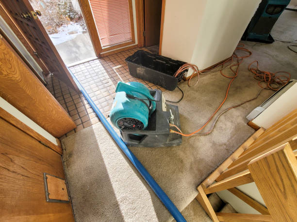 Best Local water damage restoration  in Weidman, MI