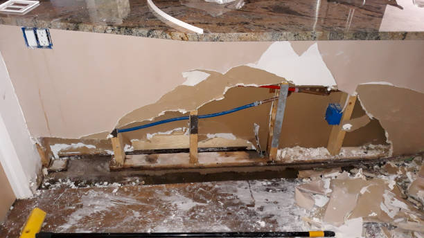 Best 24/7 water damage repair  in Weidman, MI