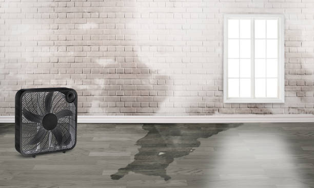 Best Flood damage cleanup  in Weidman, MI