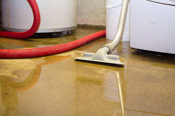 Best Sewage cleanup and water damage restoration  in Weidman, MI