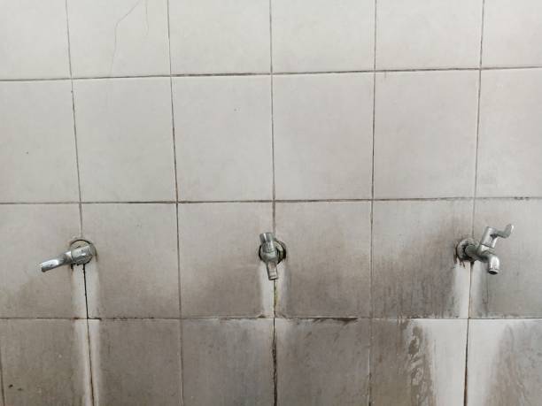 Best Commercial water damage restoration  in Weidman, MI