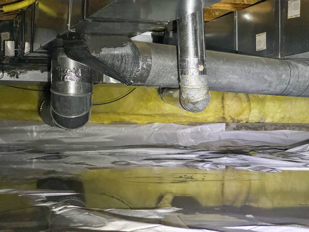 Best Water damage restoration cost  in Weidman, MI