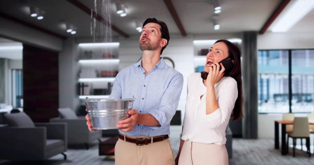 Best Water damage contractors near me  in Weidman, MI